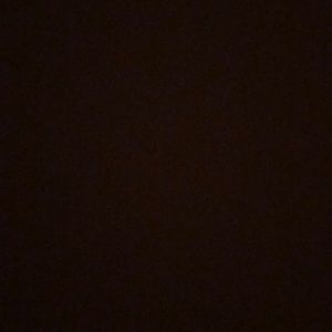 Meet your Posher, Bella